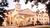 Best Western Atascocita Inn & Suites from Priceline.com