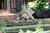 Isabelles Inn::BedAndBreakfast.com