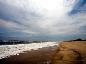 Georgica Beach::Beach.curbed.com