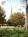 Francis Marion Hotel::TripAdvisor