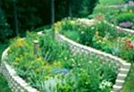 Dorothy Pecaut Nature Center