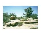 Bighorn Mountain Wilderness::Epinions.com