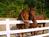 Triple T Bed & Breakfast::BedAndBreakfast.com