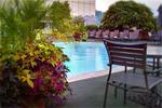 Tn-099449_pool_02_f