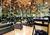 Super 8 - NYC/Manhattan/Times Sq Area::Travelocity.com