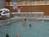 The Waters of Minocqua from Priceline.com