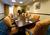 SpringHill Suites by Marriott South Bend Mishawaka::Travelocity.com