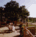 Hyatt Regency Hill Country Resort & Spa::Orbitz