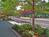 Best Western Clocktower Inn::Orbitz