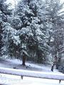 Gray Wolf Mountain Inn