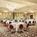 Buffalo Marriott Niagara::Travelocity.com