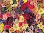 Soukal's Boca Oceans Flowers
