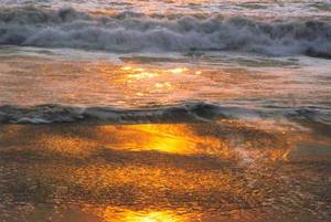 Web-03-02_pic-15_lg