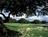 Hyatt Regency Hill Country Resort & Spa::ProfessionalTravelGuide.com