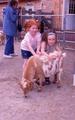 Franklin Park Zoo