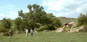Web-safe_flag-spring-ok-panhandle-he