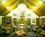 Chase Suite Hotel by Woodfin from Yahoo! Travel