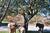 Mountain Meadows Lodge::TripAdvisor