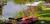 Mansfield Plantation Bed & Breakfast Country Inn::BedAndBreakfast.com