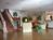 Country Inn & Suites By Carlson, Oakwood, GA::Expedia