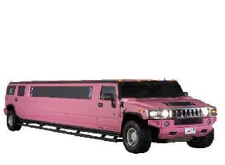 VIP Limo Service