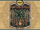 Cigar City Guava Grove Beer