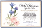 Wild Blossom Apple Cinnamon Mead Beer