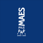 Maes Pils Beer