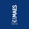 Maes Pils Beer 18630