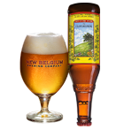 New Belgium Somersault Beer