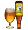New Belgium Somersault Beer 20478