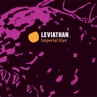 Harpoon Leviathan Imperial Rye Beer 22809