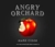 Angry Orchard Crisp Apple Cider Beer