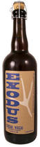 Central Waters Exodus Beer