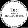 New Belgium Dig Beer 29027