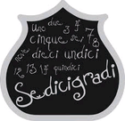 Birra del Borgo Sedicigradi Beer