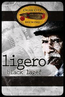 Cigar City Ligero Black Lager Beer 37394