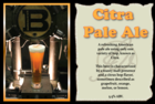 Free Will Citra Pale Ale Beer
