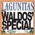 Lagunitas Waldo's Special Ale Beer