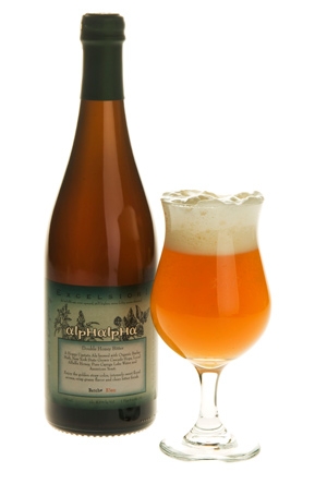 Ithaca AlphAlpha Double Honey Bitter Beer 4619