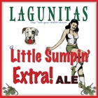 Lagunitas A Little Sumpin’ Extra Beer