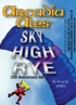 Arcadia Sky High Rye Beer 6449