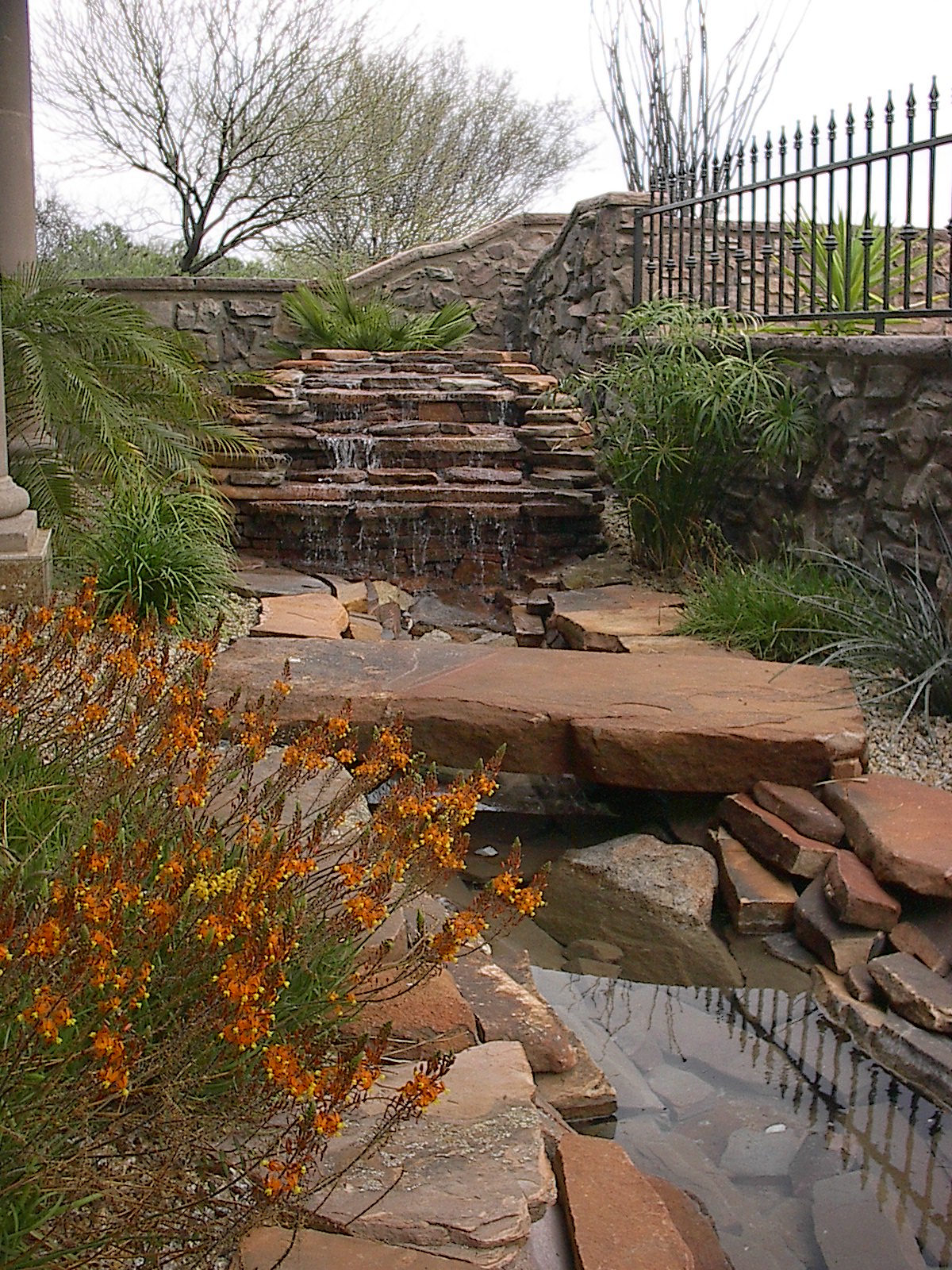 Water_Feature_Close-up.jpg