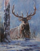 Elk