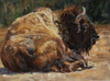 Valerie_amon_bison