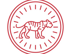 Foto de Tigre de Paper