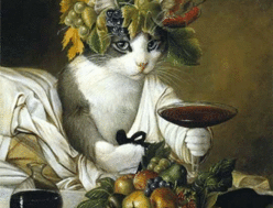 Foto de MIAU CREW