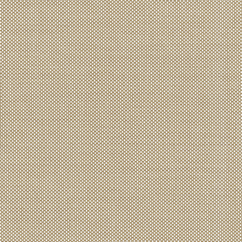 0-004-25-XXXXX | Polyscreen® Vision 365 Colorama