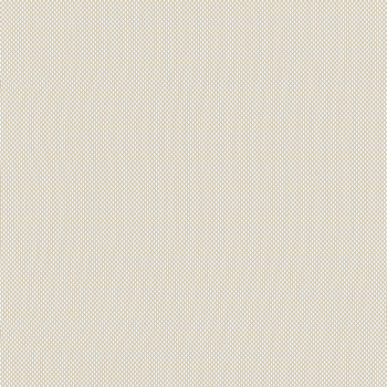 0-004-52-XXXXX | VX Screen 2900-5%