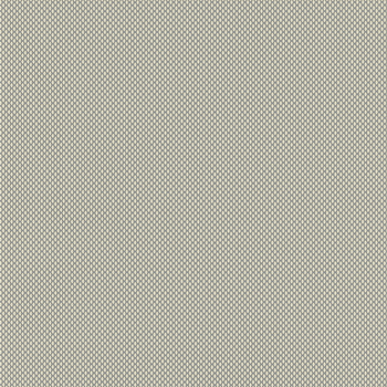 0-004-60-XXXXX | VX Screen 4000 - 5%